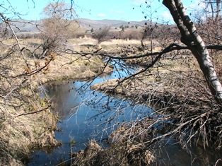 Little Bitterroot River below the McDonald Ranch.